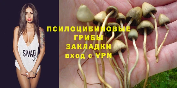 a pvp Заводоуковск
