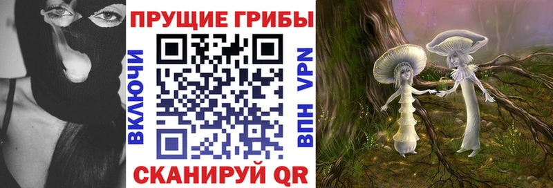 Псилоцибиновые грибы Psilocybine cubensis Купить где Петров Вал